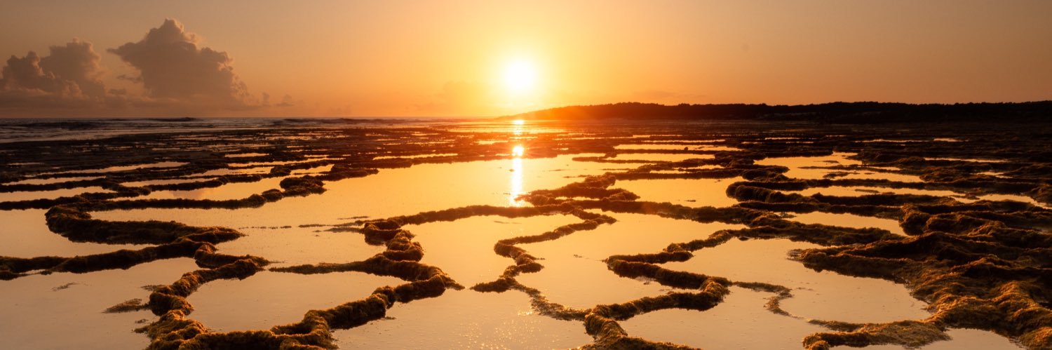 Fabien Leprieur banner