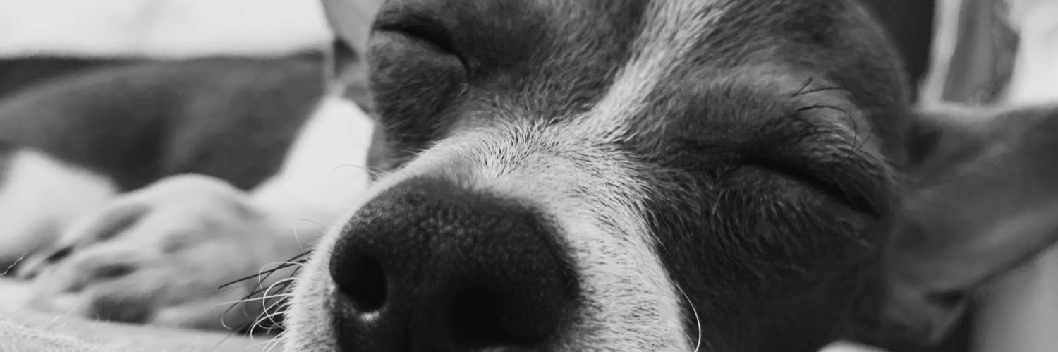 malucanabal's profile banner image