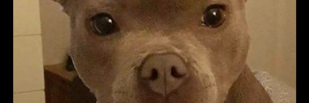 Pasi___M's profile banner image