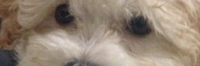 mayilda's profile banner image