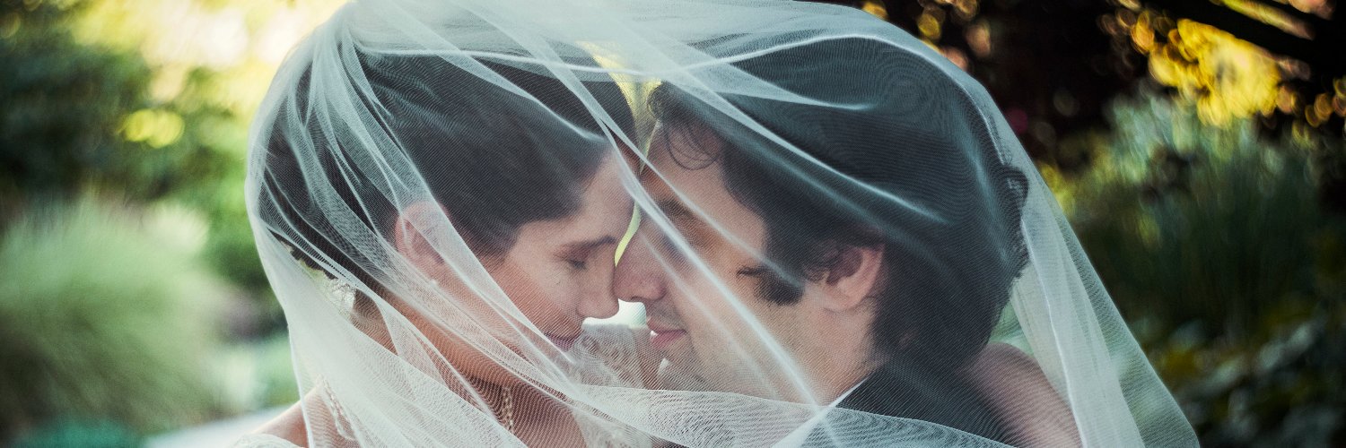 Rebecca Overholt banner