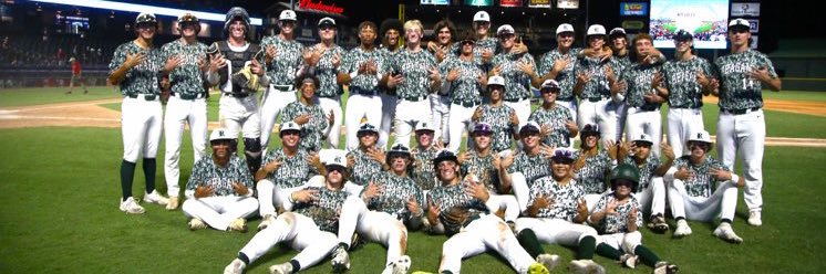 Reagan Baseball banner