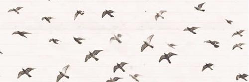 aom_nichaa's profile banner image