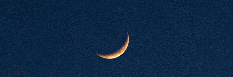 DanielaIFM's profile banner image