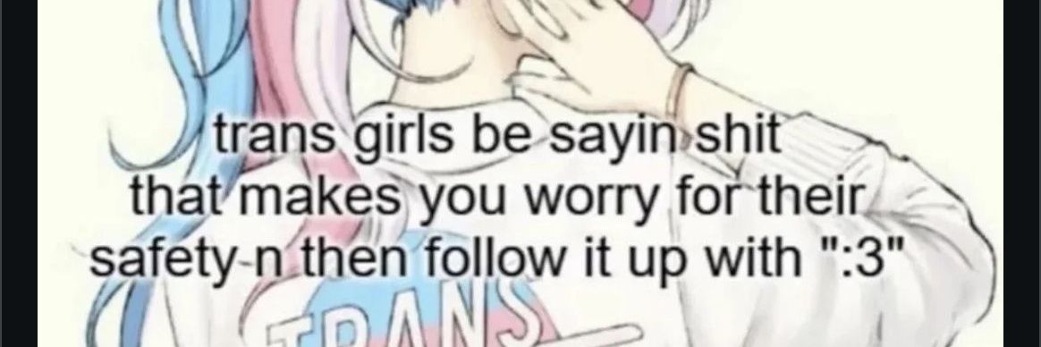 Silly Fox Girl :3 ☭🏳️‍⚧️🇵🇸 banner