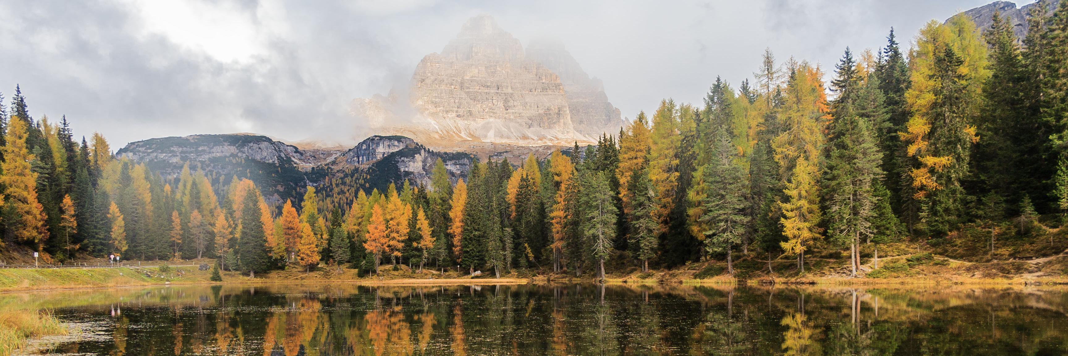 Stephen Mulligan banner