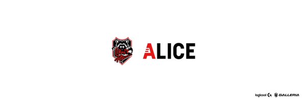 alice Profile Banner