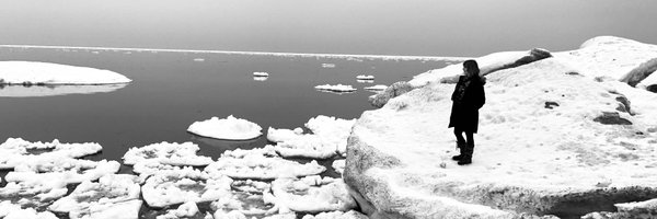 TheZebrafox Profile Banner