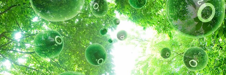Oxygen Devices banner