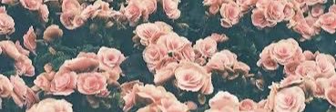 Ignacia Neves banner