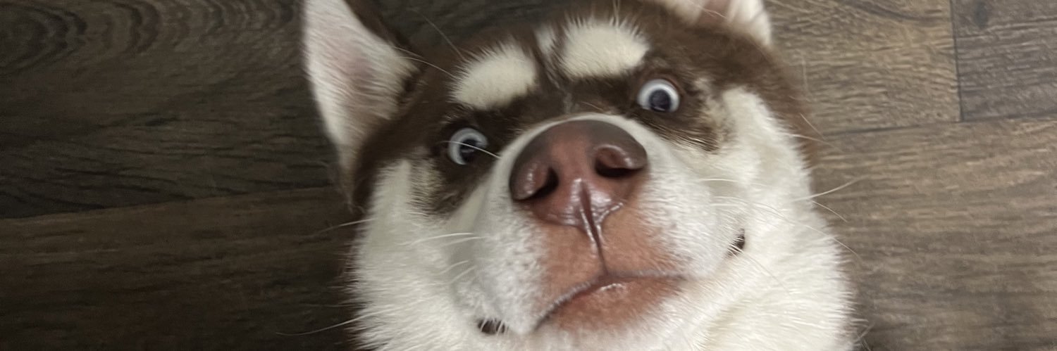 AOrtega_87's profile banner image