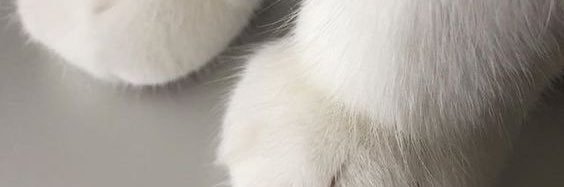 𝐢𝐲𝐚𝐬. 💭 banner