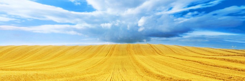 KState_THCS's profile banner image