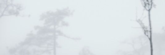 NSubinya's profile banner image