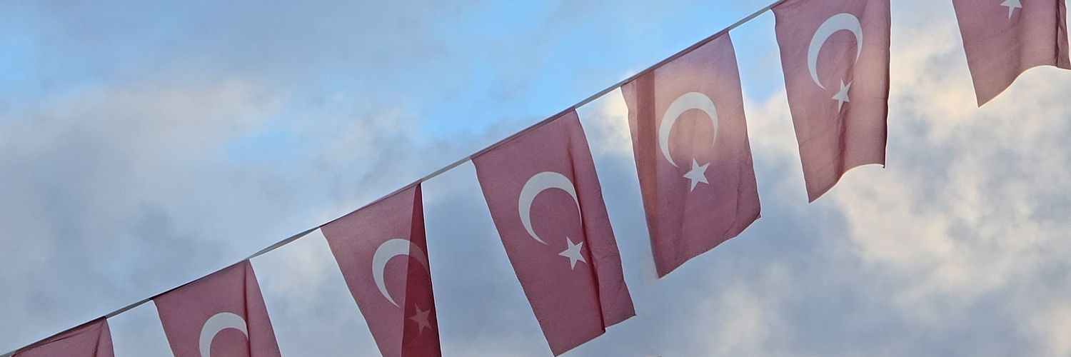 birmubellig's profile banner image