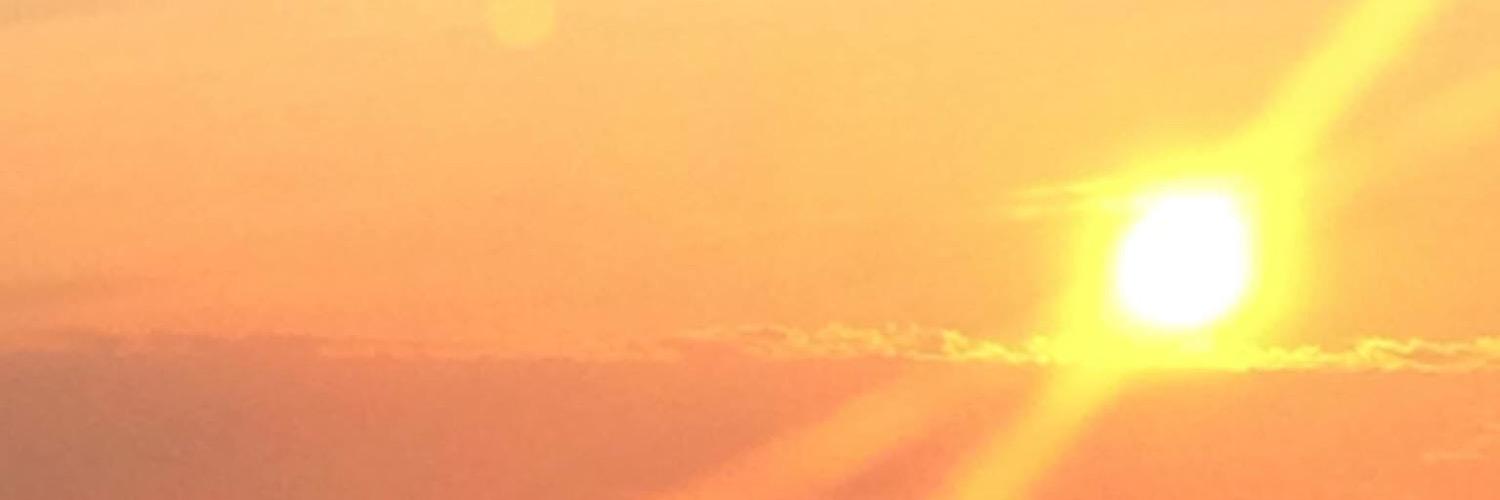 SharonLSobel's profile banner image