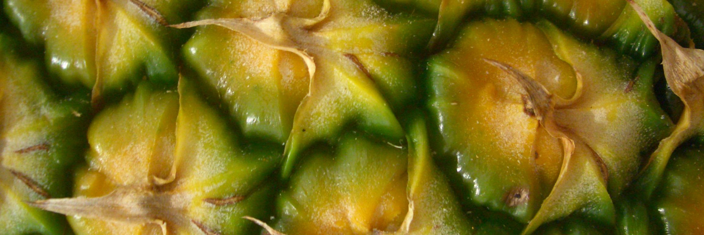 bio_lo_g's profile banner image