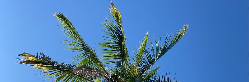 Maria_MoyaP's profile banner image