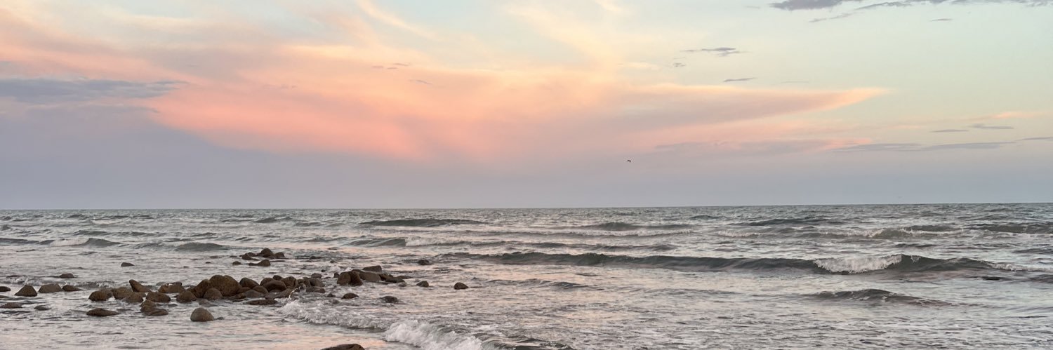 JanetsyCamacho's profile banner image