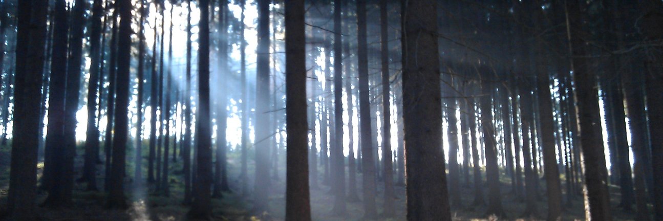 GhostOfViktor's profile banner image