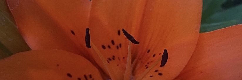 actuallyitskay's profile banner image