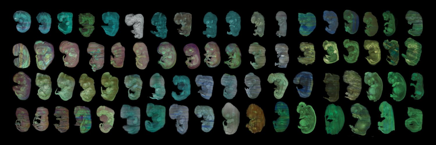 Andrew C. Halley banner