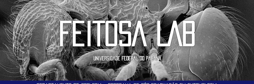 labsbf's profile banner image