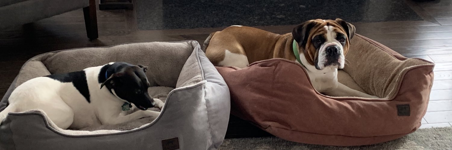 Lori Huellemeier banner