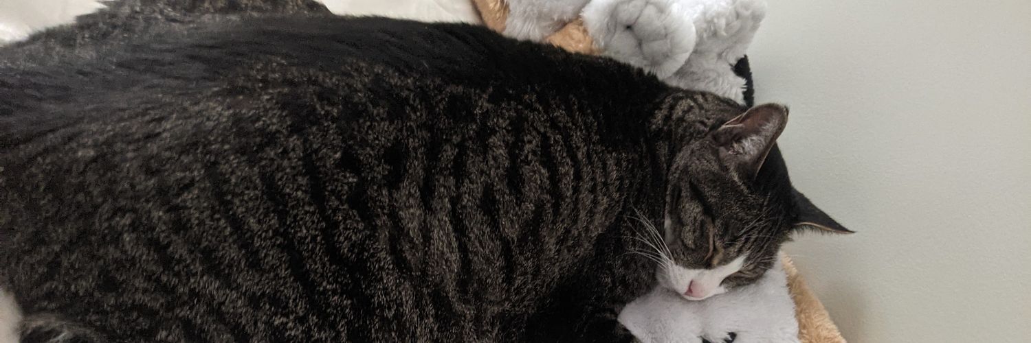 Jong Sung Park banner