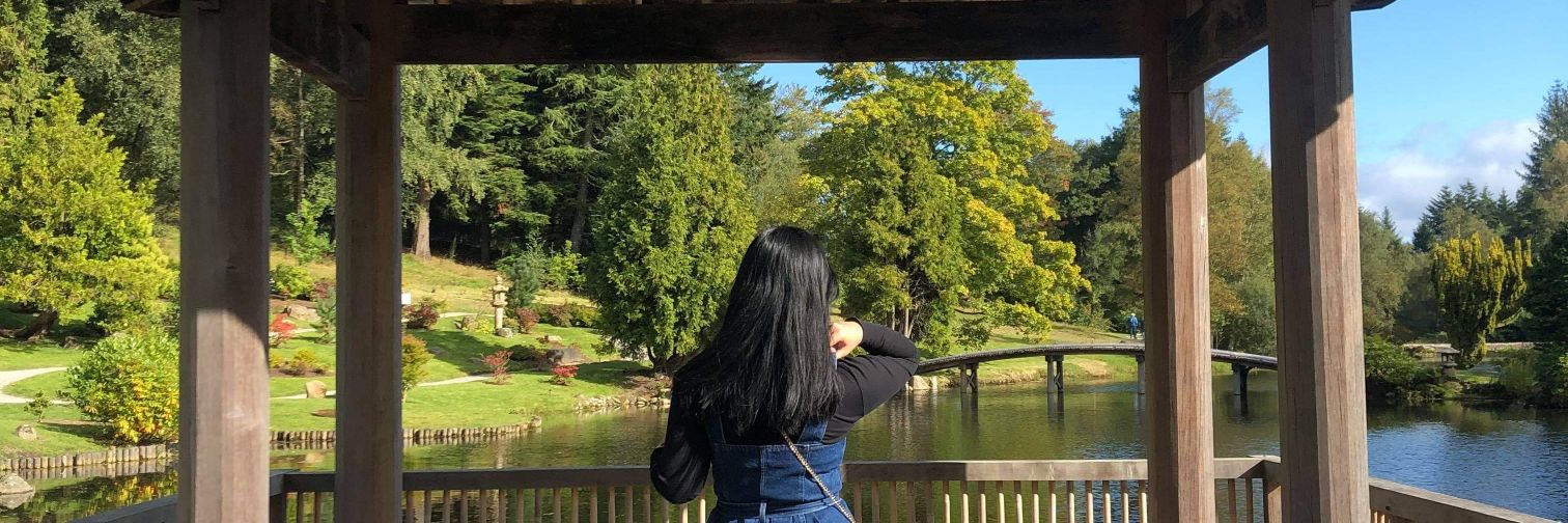 artzdaizyz's profile banner image