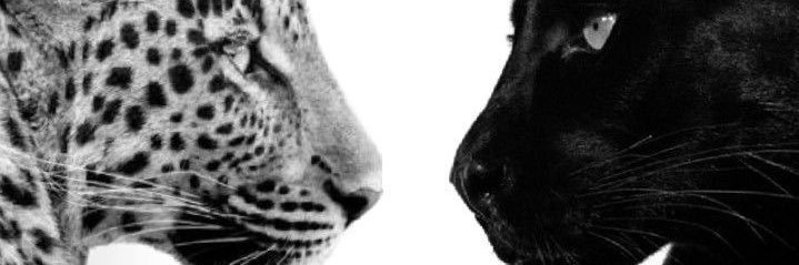 lidiaEglez's profile banner image