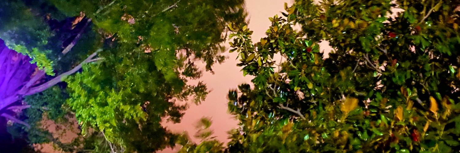 JaimeR____'s profile banner image