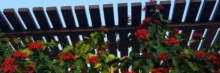 ab21ir's profile banner image