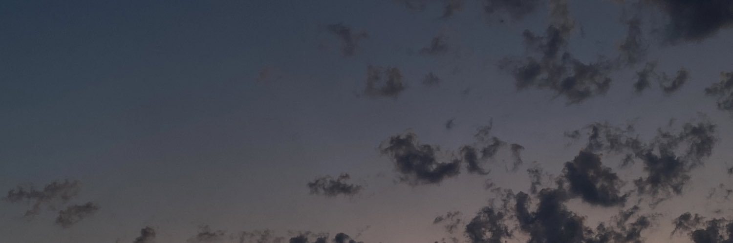 Romfox_top's profile banner image