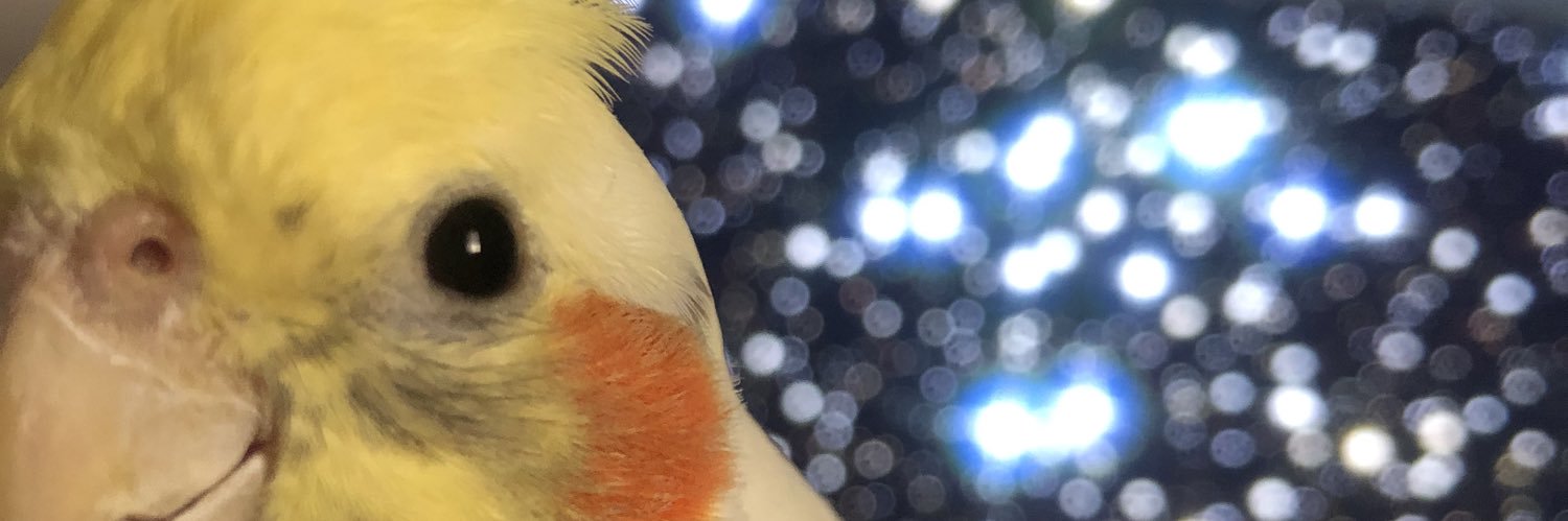 j_zesin's profile banner image