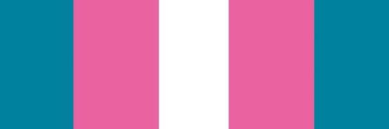 ditzy ftm girl banner