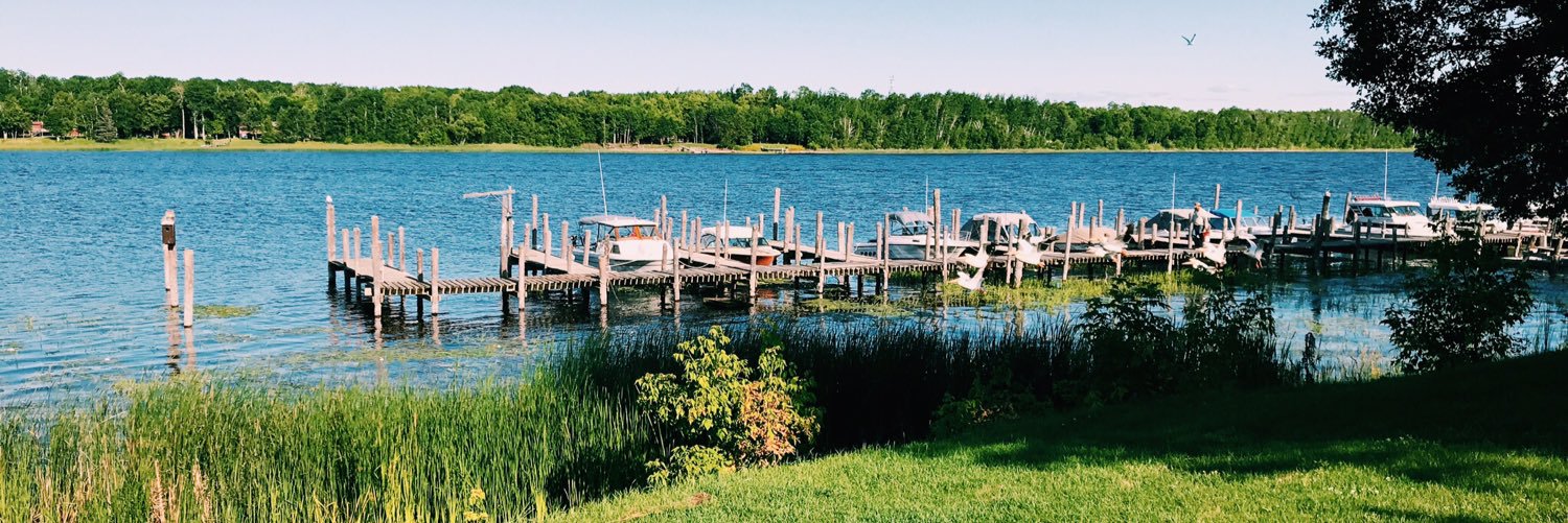 Carissa Wigginton banner