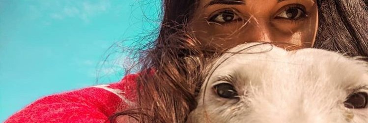 FlaSastre's profile banner image