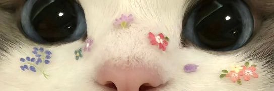 ٰ banner