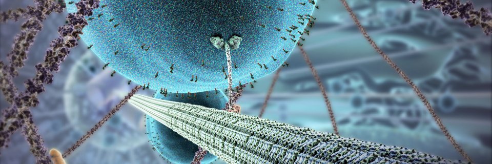 Daniel J. Nicholson banner