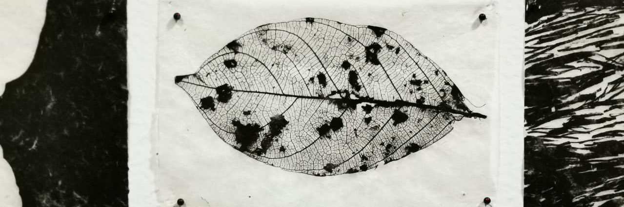Leonardo banner