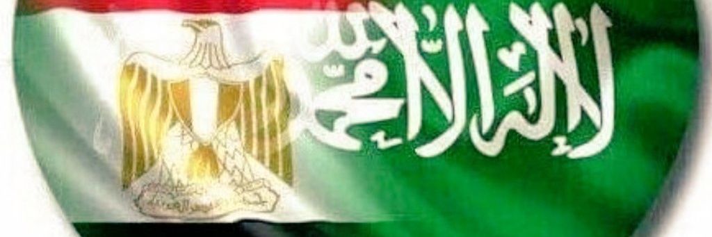 alwaseif's profile banner image