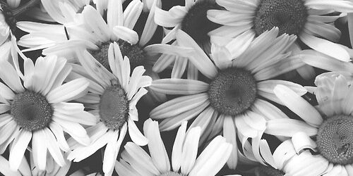 kiffnatasha's profile banner image