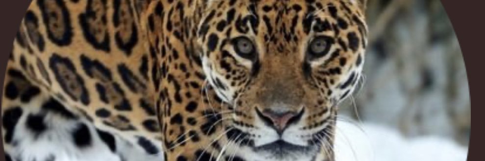 Hamody1112's profile banner image