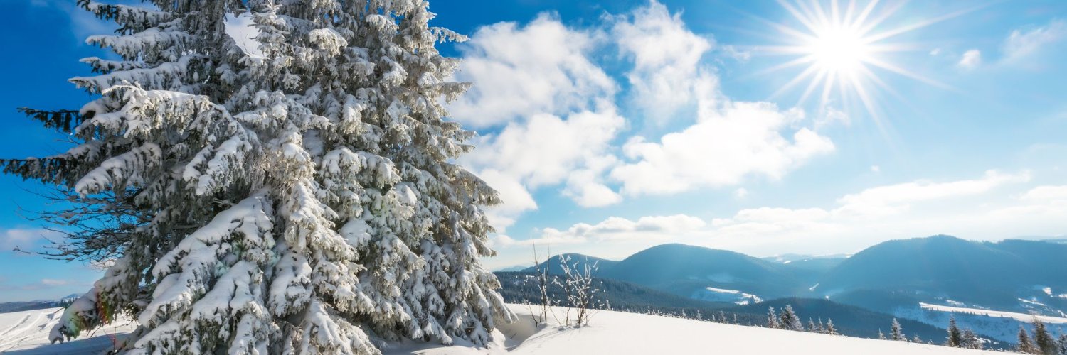 shellie_thacher's profile banner image