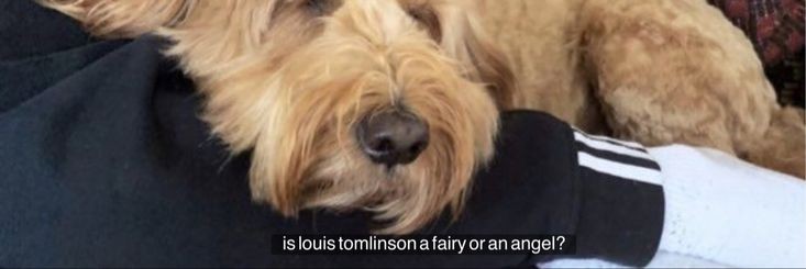 BESTDUARRY's profile banner image