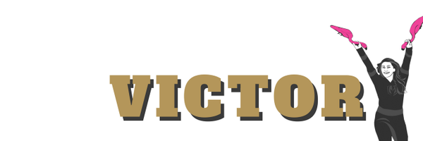VGKFlamingo Profile Banner