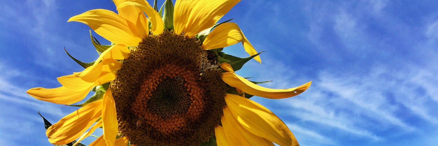 jmp623's profile banner image