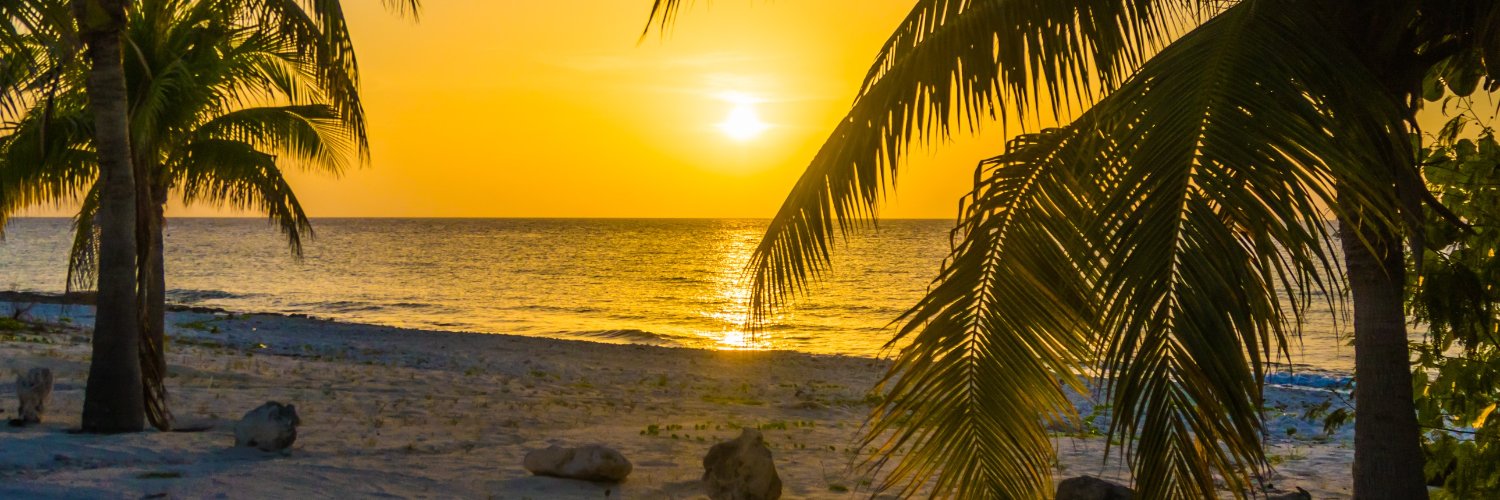 cnote_1's profile banner image