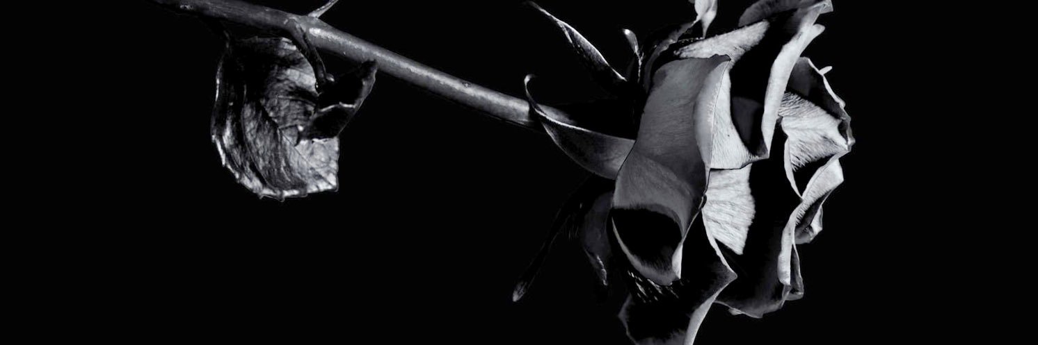 151Tim's profile banner image